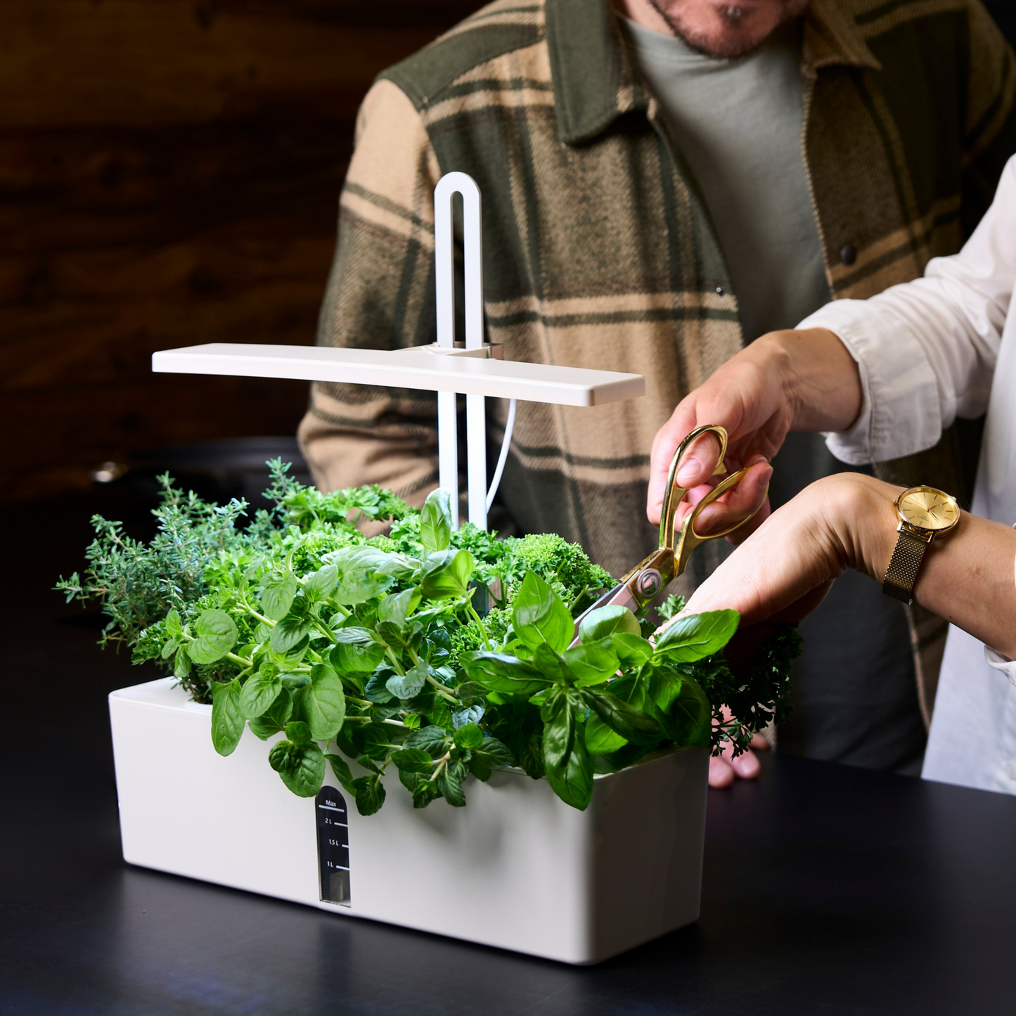 Bloombox