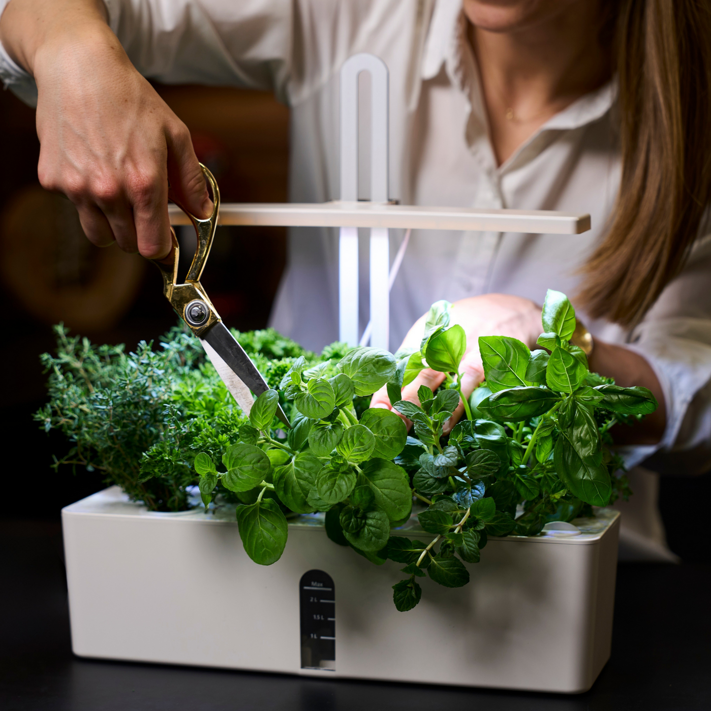 Bloombox