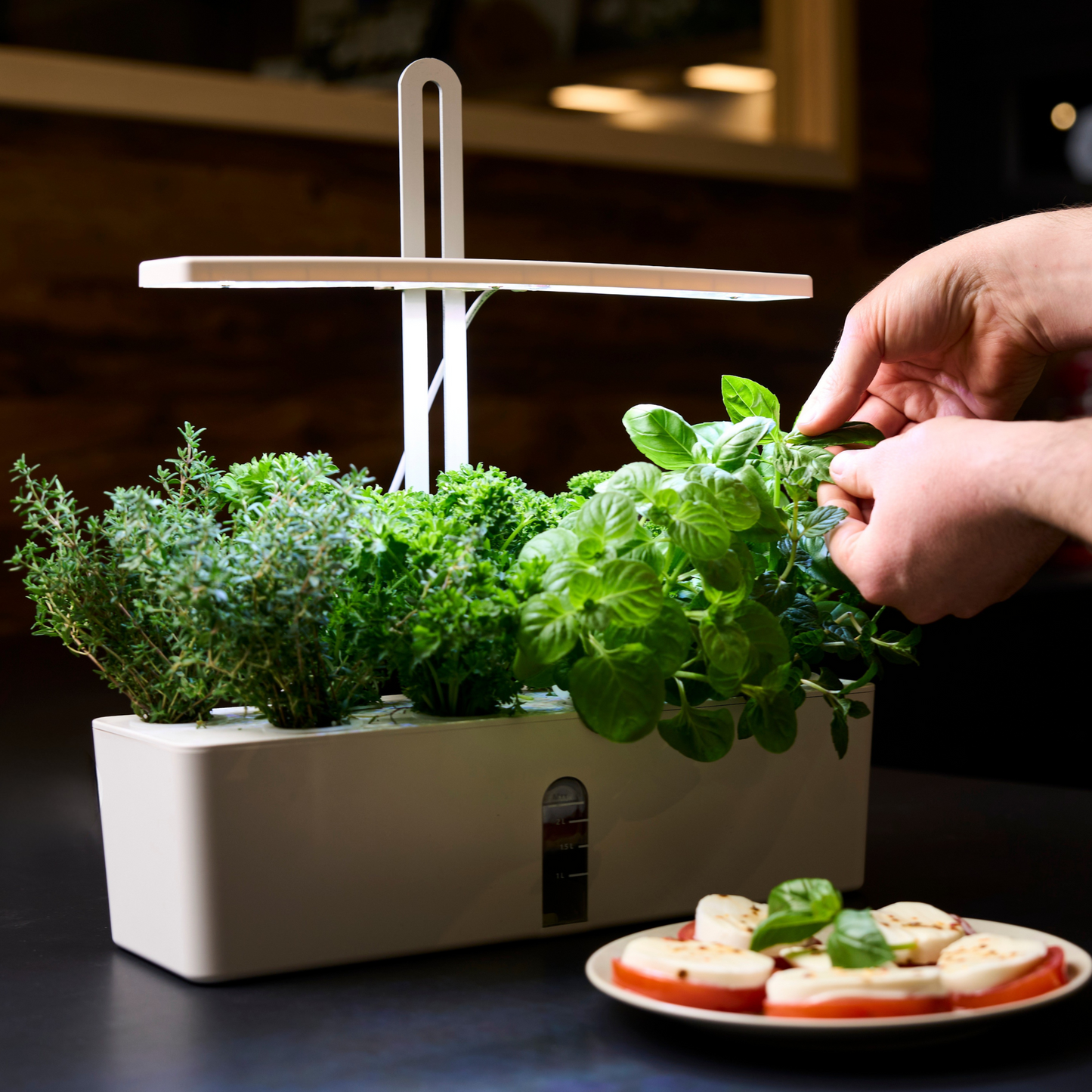 Bloombox