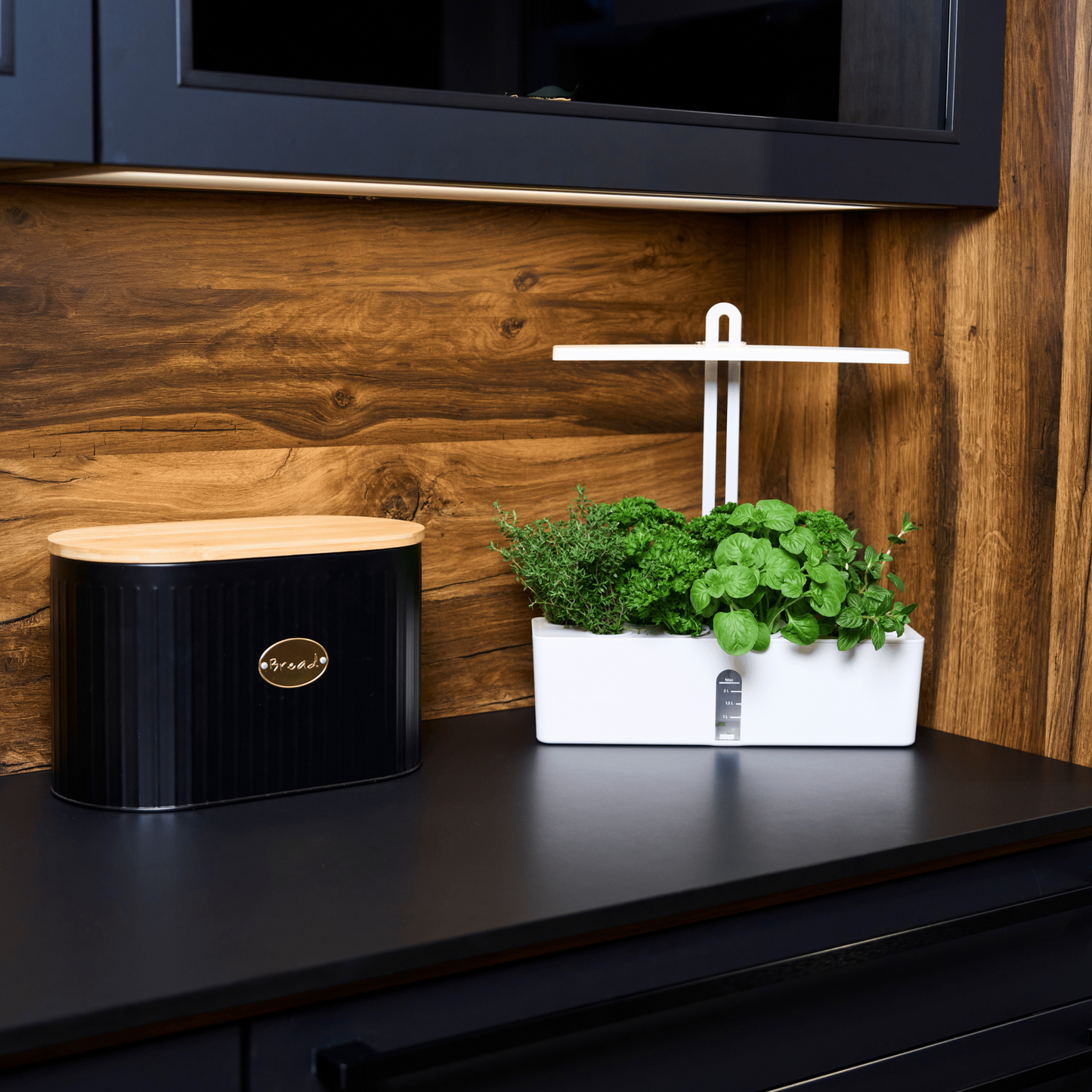 Bloombox