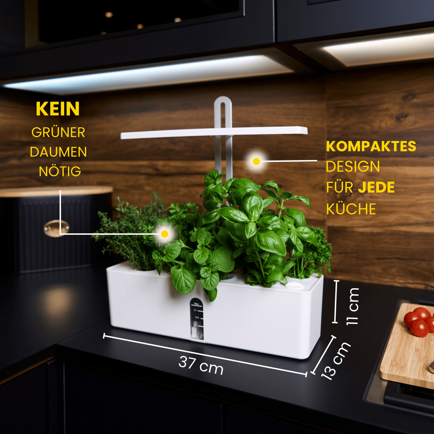 Bloombox - Indoor Garten