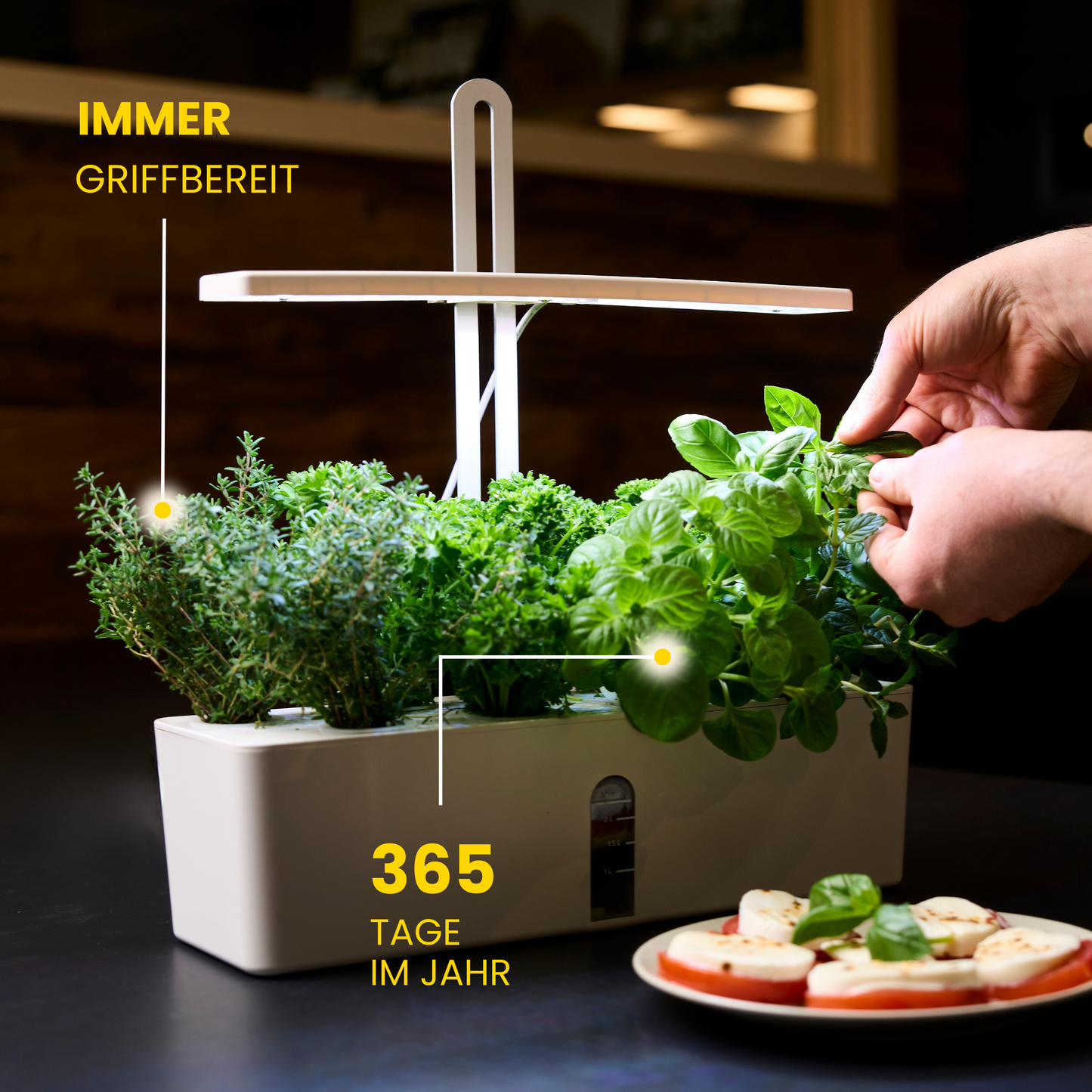 Bloombox - Indoor Garten